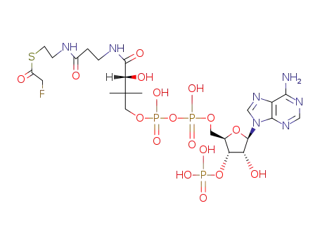 Molecular Structure of 485-13-2 (fluoroacetyl-coenzyme A)