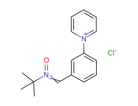 Molecular Structure of 1176727-65-3 (N-tert-butyl-α-[3-(pyrid-1'-yl)phenyl]nitrone chloride)