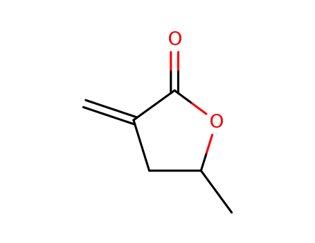 Molecular Structure of 62873-16-9 (5-methyl-3-methylidene-oxolan-2-one)