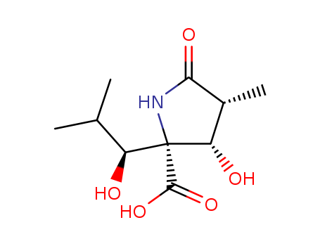 (3R,4S,5R,1'S)-4-HYDROXY-5-(1'HYDROXY-2'-METHYLPROPYL)-3-METHYLPYRROLIDIN-2-ONE-5 CARBOXYLIC ACIDCAS