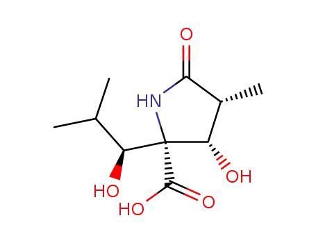 Molecular Structure of 145451-97-4 ((3R,4S,5R)-4-HYDROXY-5-[(1S)-1-HYDROXY-2-METHYLPROPYL]-3-METHYL-2-PYRROLIDINONE-5-CARBOXYLIC ACID)