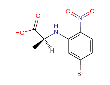 Click to see the large picture