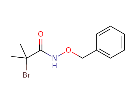 Molecular Structure of 1303507-75-6 (N-benzyloxy-α-methyl-α-bromopropionamide)