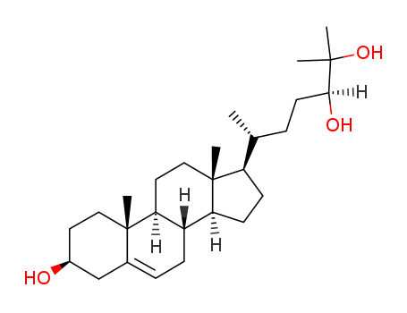 Click to see the large picture