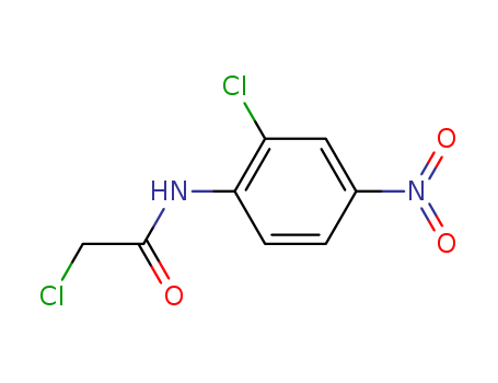 2-CHLORO-N-(2-CHLORO-4-NITRO-PHENYL)-ACETAMIDE