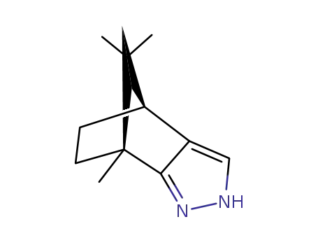 Molecular Structure of 72345-25-6 (7,8,8-trimethyl-4,7-methano-1H-indazole)