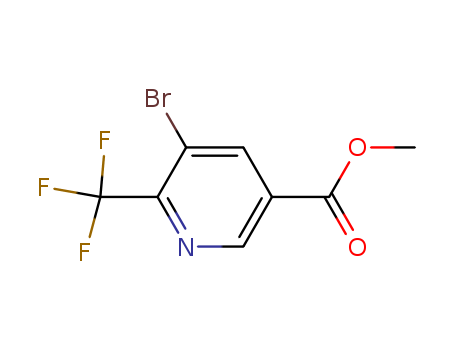 Click to see the large picture