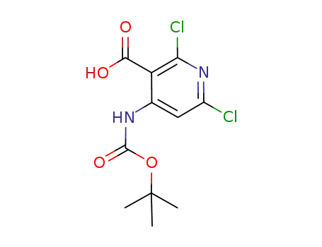 Molecular Structure of 929288-17-5 (3-Pyridinecarboxylic acid,
2,6-dichloro-4-[[(1,1-dimethylethoxy)carbonyl]amino]-)