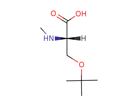 Molecular Structure of 197632-83-0 (N-ME-SER(TBU)-OH)