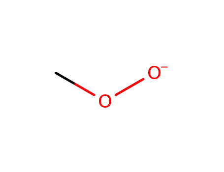 methyl peroxide anion