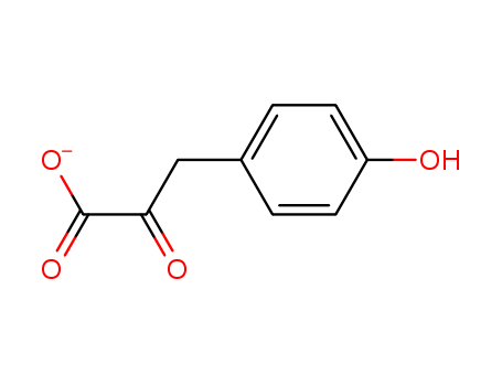 4-hydroxyphenylpyruvate<sup>-</sup>
