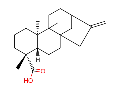 Molecular Structure of 6730-83-2 (kaurenoic acid)