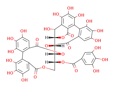 Molecular Structure of 79786-01-9 (Casuarinin)