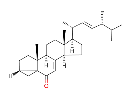 Molecular Structure of 3037-46-5 ((22E,24R)-3α,5-cyclo-5α-ergosta-7,22-dien-6-one)