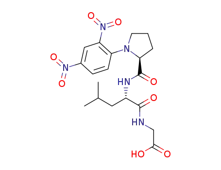 Molecular Structure of 65985-66-2 (DNP-L -PROLYL-L -LEUCYLGLYCINE)