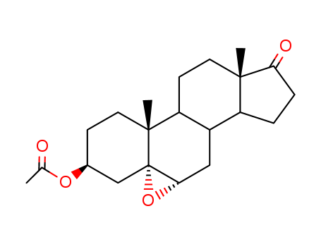 Click to see the large picture