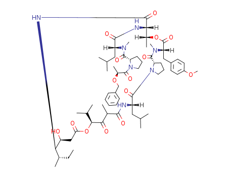 Click to see the large picture