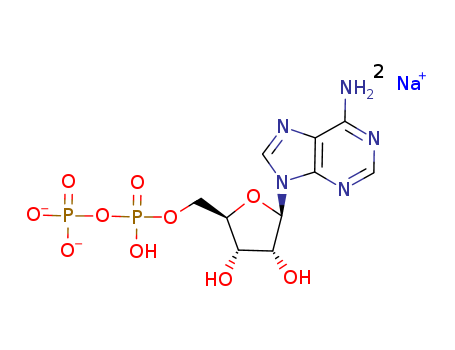16178-48-6,Adenosine-5'-diphosphate disodium salt,Adenosine5'-(trihydrogen diphosphate), disodium salt (9CI);Adenosine-5'-(trihydrogenpyrophosphate), disodium salt (8CI);ADP disodium salt;Disodium 5'-ADP;Disodium ADP;Disodiumadenosine 5'-diphosphate;