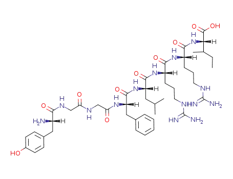 Molecular Structure of 75790-53-3 (H-TYR-GLY-GLY-PHE-LEU-ARG-ARG-ILE-OH)