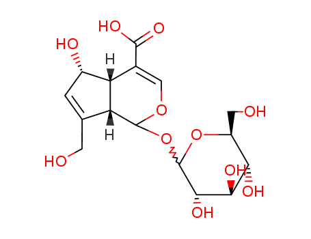Best Offer(1S,4aS,5S,7aS)-1-(b-D-Glucopyranosyloxy)-1,4a,5,7a-tetrahydro-5-hydroxy-7-(hydroxymethyl)cyclopenta[c]pyran-4-carboxylic acid
