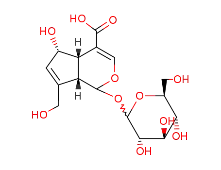 Molecular Structure of 14259-55-3 ((1S,4aS,5S,7aS)-1-(b-D-Glucopyranosyloxy)-1,4a,5,7a-tetrahydro-5-hydroxy-7-(hydroxymethyl)cyclopenta[c]pyran-4-carboxylic acid)