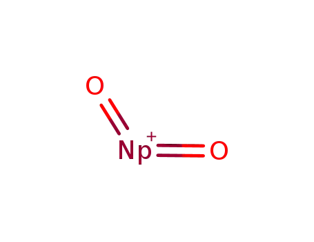 Molecular Structure of 12035-79-9 (neptunium dioxide)