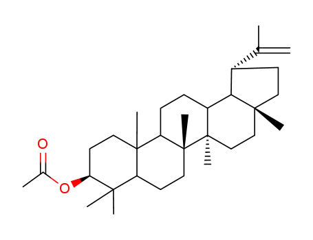 Molecular Structure of 1617-68-1 (LUPEOL ACETATE)