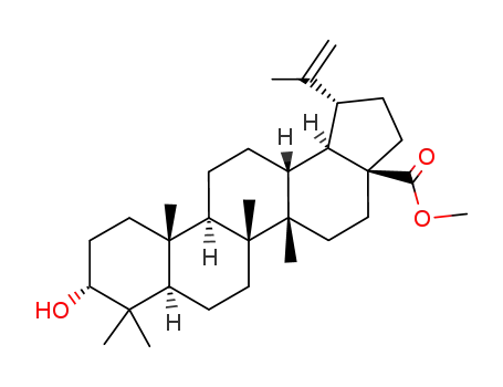 Molecular Structure of 2259-06-5 (BETULINIC ACID METHYL ESTER)