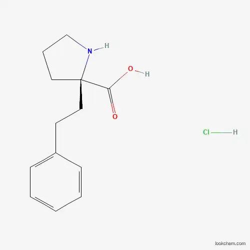 Molecular Structure of 1049741-77-6 ((S)-2-Phenethylpyrrolidine-2-carboxylic acid hydrochloride)
