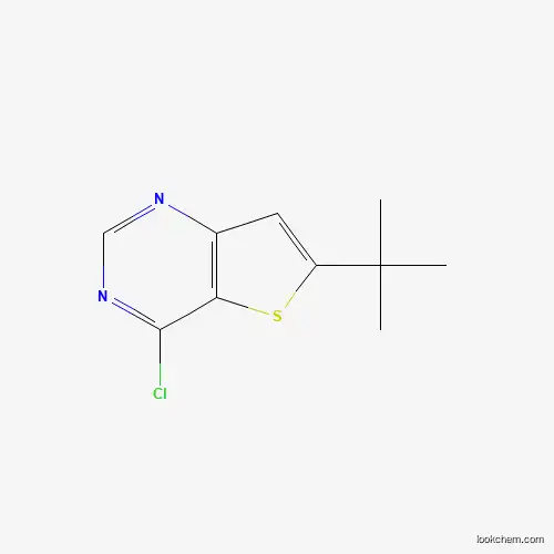 Molecular Structure of 439693-52-4 (6-tert-Butyl-4-chlorothieno[3,2-d]pyrimidine)