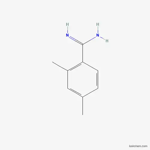 Molecular Structure of 885957-73-3 (2,4-Dimethyl-benzamidine)