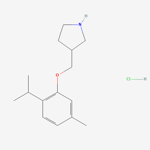 Click to see the large picture