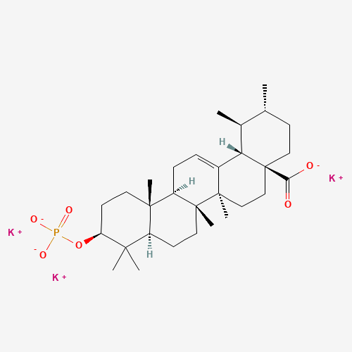 Click to see the large picture