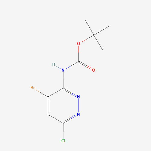 Molecular Structure of 1427475-32-8 (3-(Boc-amino)-4-bromo-6-chloropyridazine)