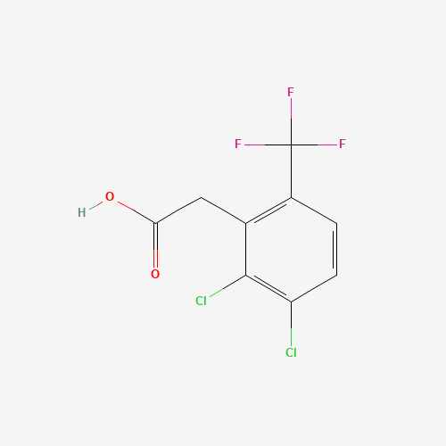 Click to see the large picture