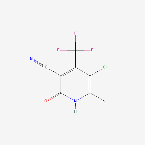 Click to see the large picture