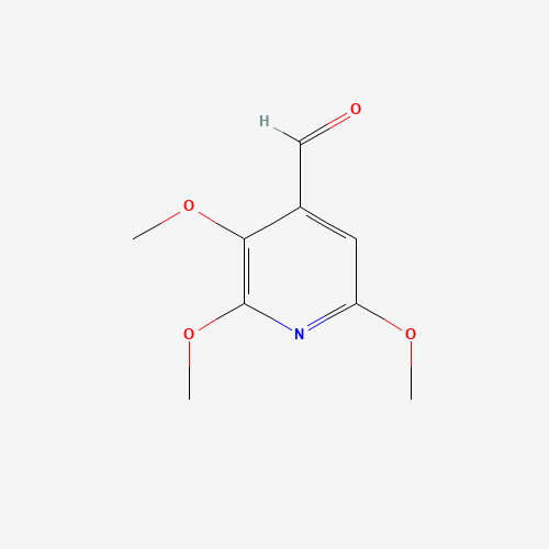 Click to see the large picture