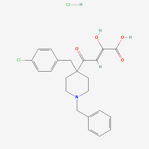 Click to see the large picture