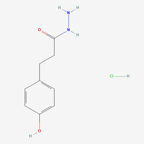 3-(4-HYDROXYPHENYL)PROPIONIC ACID HYDRAZIDE HCL(223593-84-8)