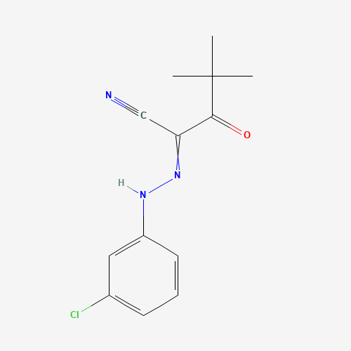 Click to see the large picture