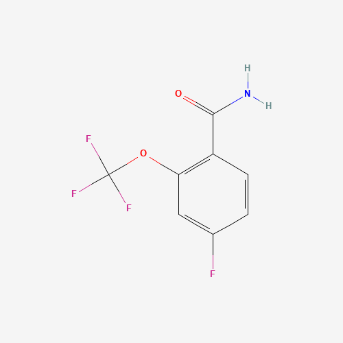 Click to see the large picture