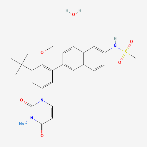 Click to see the large picture