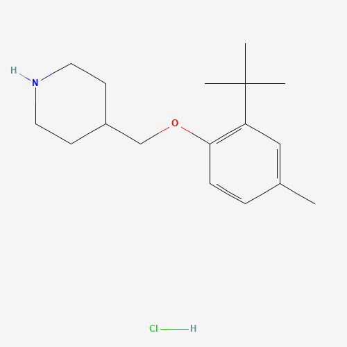 Click to see the large picture