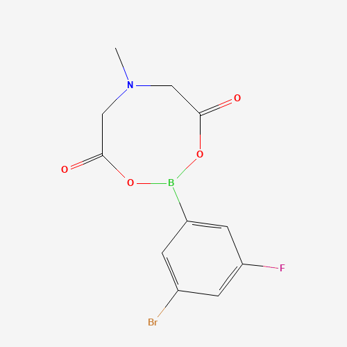 Click to see the large picture