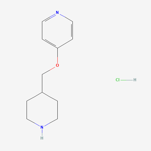 Click to see the large picture