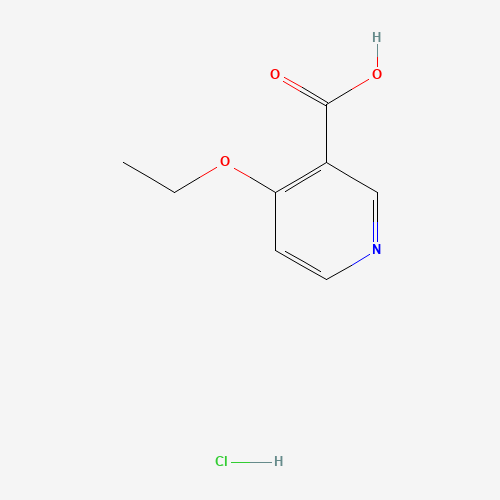 4-Ethoxypyridine-3-carboxylic acid hydrochloride