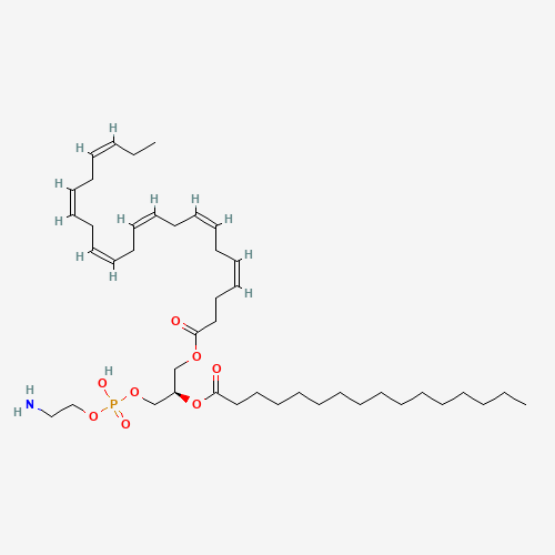 Click to see the large picture