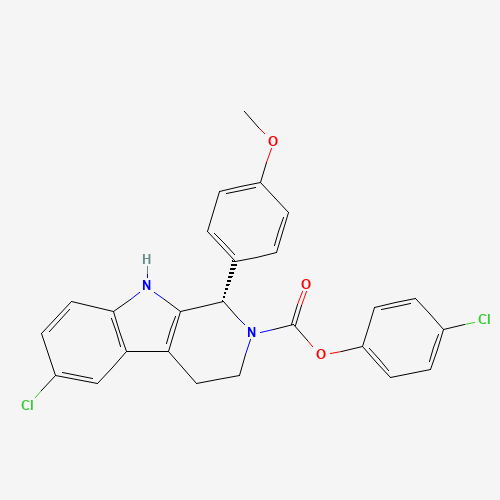 Click to see the large picture