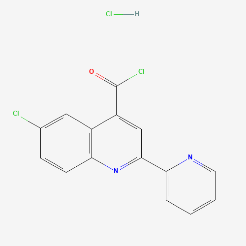 Click to see the large picture