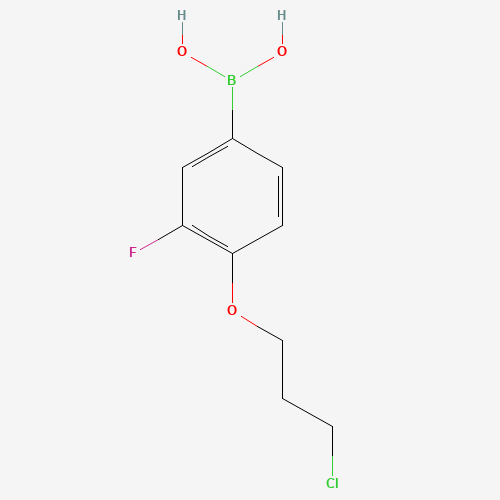(4-(3-chloropropoxy)-3-fluorophenyl)boronic acid